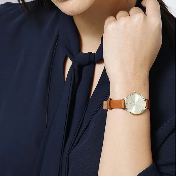 Đồng Hồ Nữ Skagen SKW2147 Màu Nâu