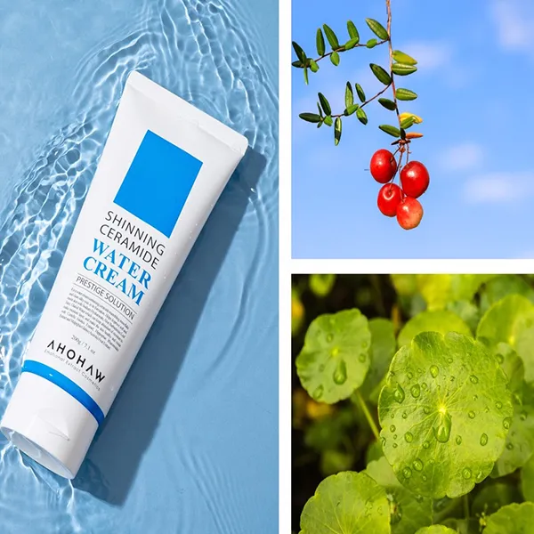 Kem Dưỡng Làm Dịu Phục Hồi Nhanh Ahohwa Shinning Ceramide Water Cream 200g
