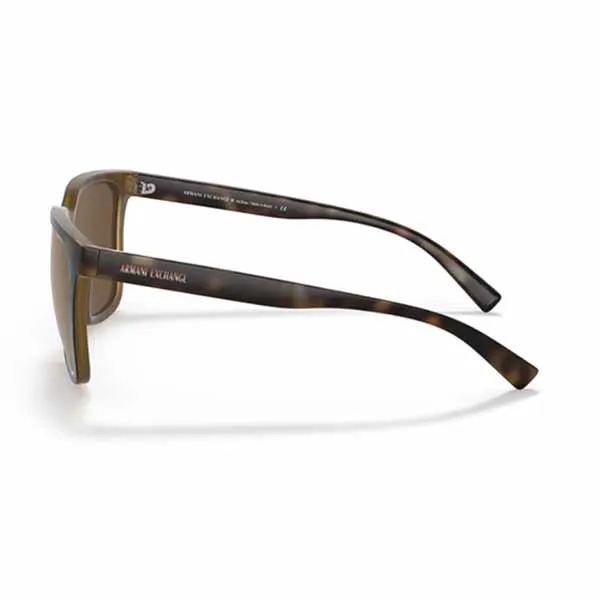 Kính Mát Nam Armani Exchange 0AX4108SF_80295A57.CS Màu Nâu Havana