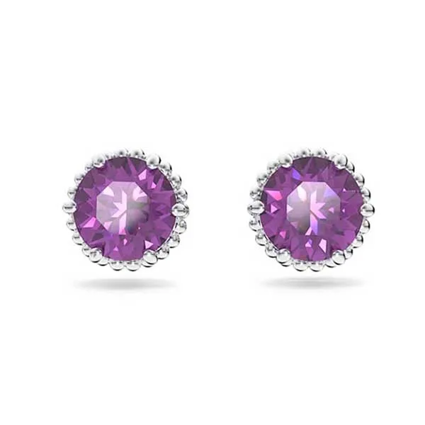 Mua Khuyên Tai Nữ Swarovski Birthstone Stud Earrings Round Cut, February,  Purple, Rhodium Plated 5615517 Màu Tím - Swarovski - Mua tại Vua Hàng Hiệu  h092768