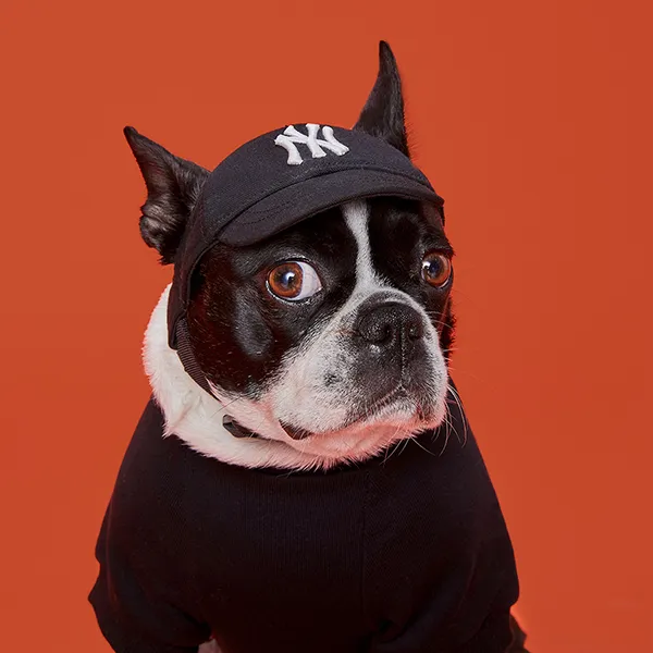 Mũ Cho Pet MLB Logo New York Yankees 72PEC1111-50L Màu Đen