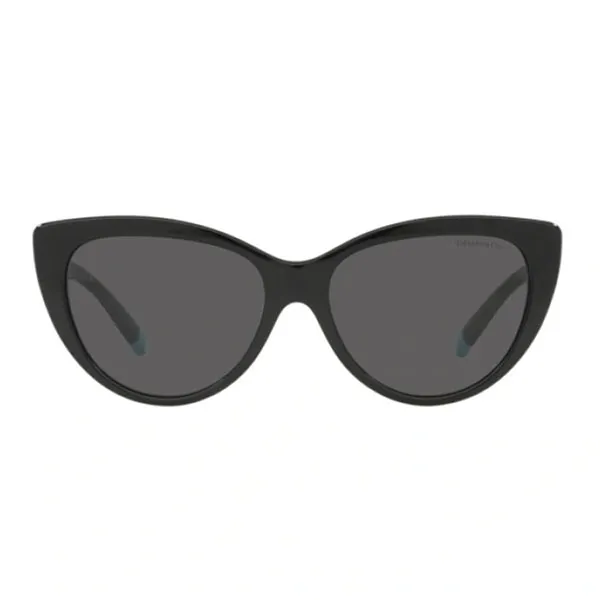 Kính Mát Nữ Tiffany & Co. TF Sunglasses Woman 4196 - 8001S4 Black Màu Đen - Kính mắt - Vua Hàng Hiệu