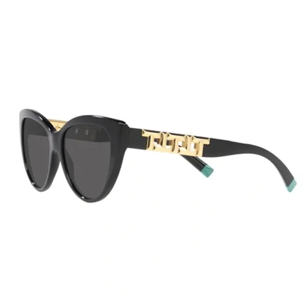 Kính Mát Nữ Tiffany & Co. TF Sunglasses Woman 4196 - 8001S4 Black Màu Đen - Kính mắt - Vua Hàng Hiệu