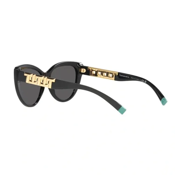 Kính Mát Nữ Tiffany & Co. TF Sunglasses Woman 4196 - 8001S4 Black Màu Đen - Kính mắt - Vua Hàng Hiệu