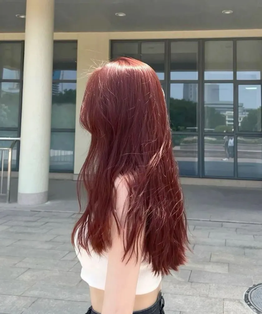 Thuốc nhuộm tóc màu đỏ Hải Vương mới nhất của Nhật Bản (Gửi hydro peroxide,  công cụ và hướng dẫn sử dụng) | Shopee Việt Nam