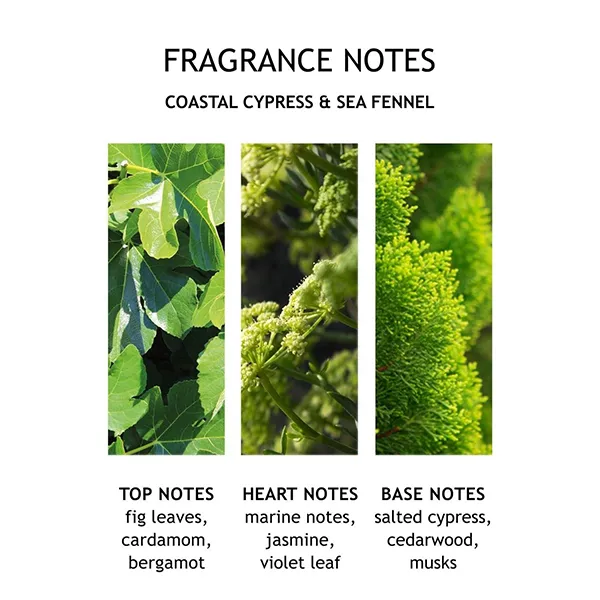 Sữa Tắm Molton Brown Coastal Cypress & Sea Fennel Bath & Shower Gel 300ml - Mỹ phẩm - Vua Hàng Hiệu