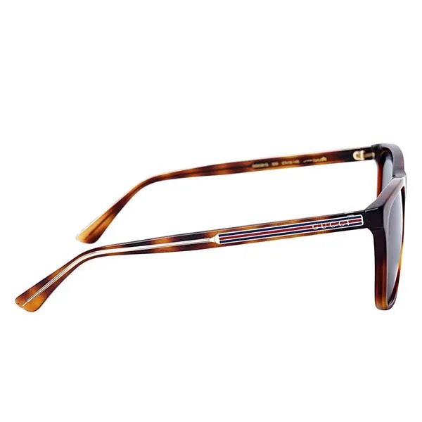 Kính Mát Gucci Sunglasses GG0381 009 Màu Xanh/Nâu