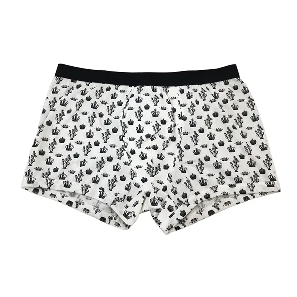 Quần Lót Nam Dolce & Gabbana D&G M4Q84JFS7RNHW316 Xương Rồng Màu Đen Trắng Size 4
