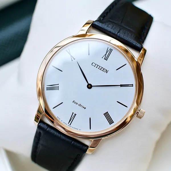 Đồng Hồ Nam Citizen Eco-Drive AR1113-12B Màu Đen Vàng - Đồng hồ - Vua Hàng Hiệu