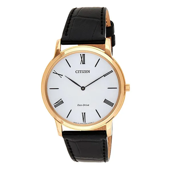 Đồng Hồ Nam Citizen Eco-Drive AR1113-12B Màu Đen Vàng - Đồng hồ - Vua Hàng Hiệu