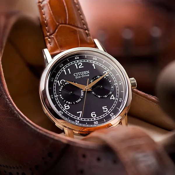 Đồng Hồ Nam Citizen Eco-Drive AO9003-08E Brown Leather Watch Màu Nâu - Đồng hồ - Vua Hàng Hiệu