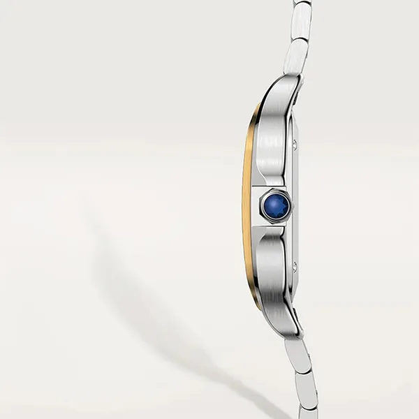 Đồng Hồ Nữ Cartier Santos De W2SA0016 35,1mm Màu Demi (Vàng - Bạc)