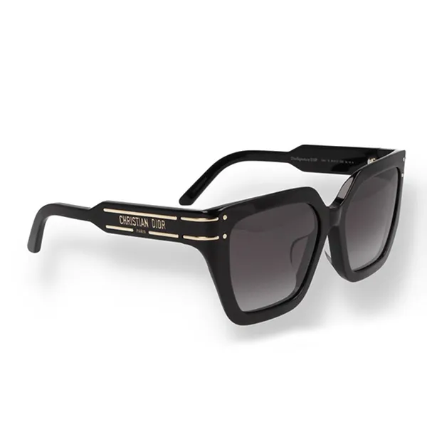 Kính Mát Dior Diorsignature S10F 10A1 Màu Đen