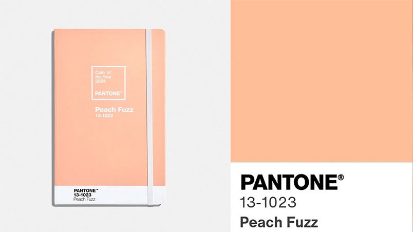 Màu chủ đạo của năm 2024: Peach Fuzz - Gợi ý cách phối đồ  - 1