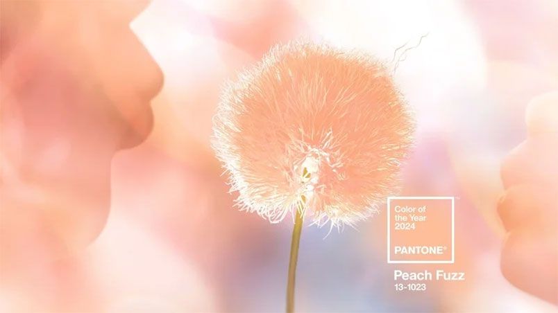 Màu chủ đạo của năm 2024: Peach Fuzz - Gợi ý cách phối đồ  - 2