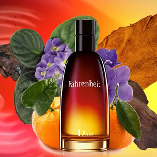 Nước Hoa Nam Christian Dior Fahrenheit EDT 50ml - Nước hoa - Vua Hàng Hiệu