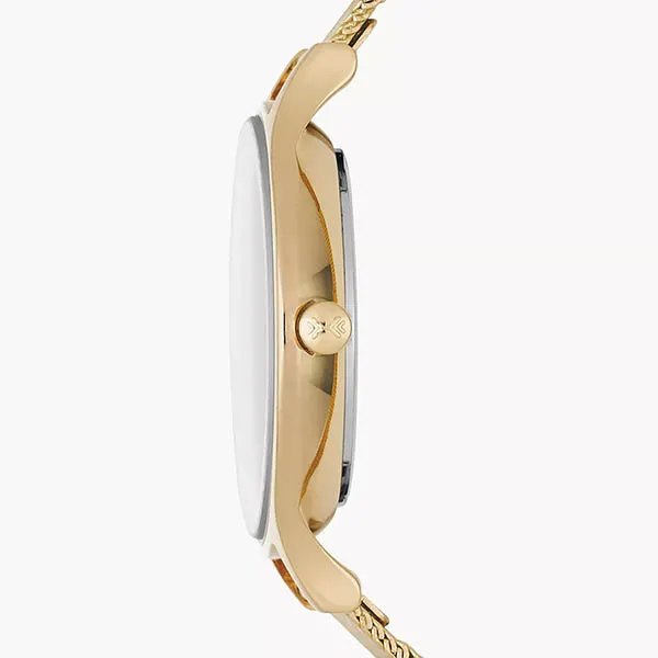 Đồng Hồ Nữ Skagen Anita Lille Gold-Tone Steel Mesh Watch SKW2150 Màu Vàng
