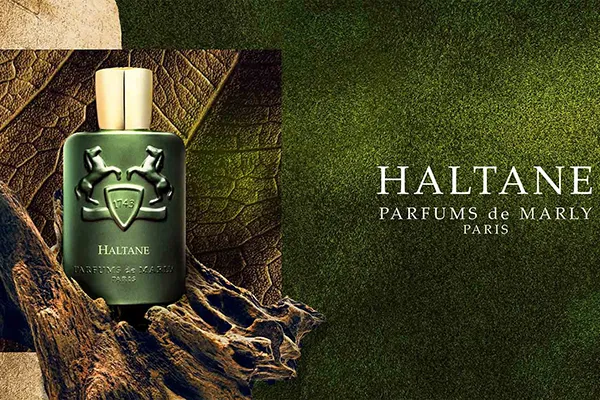 Nước Hoa Nam Parfums De Marly Haltane EDP 125ml