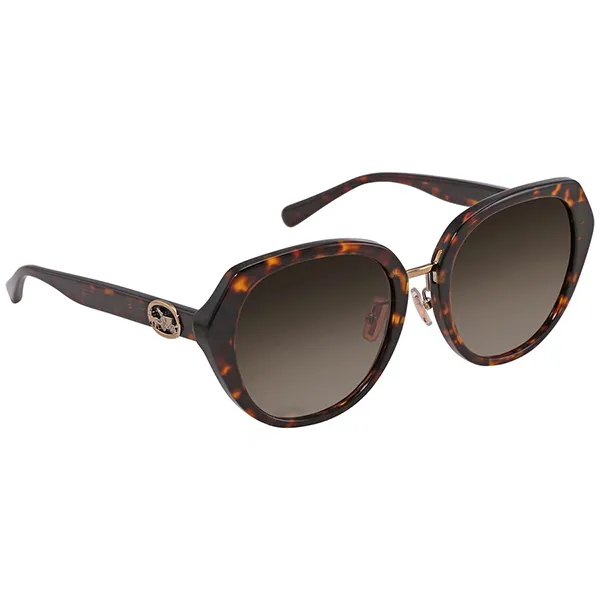 Kính Mát Nữ Coach Brown Gradient Butterfly Ladies Sunglasses HC8331 512013 55 Màu Nâu Đen