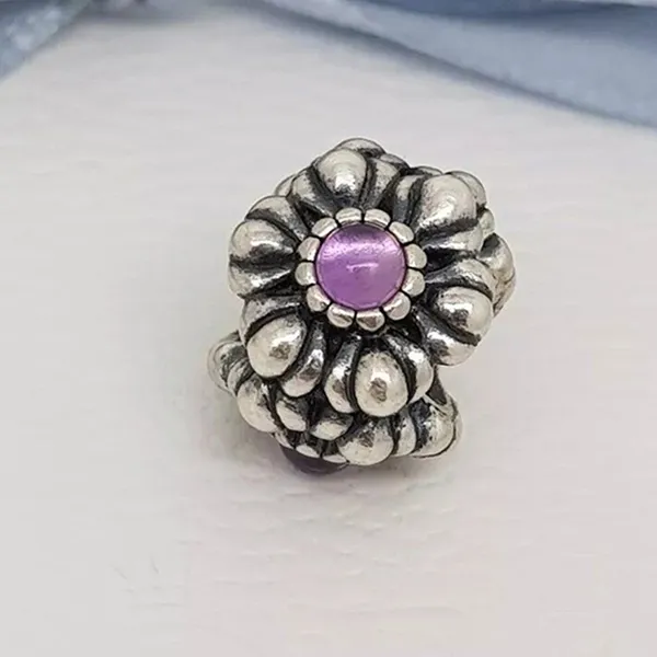 Hạt Vòng Charm Nữ Pandora Retired Sterling Silver February Birthday Blooms Bead With 790580AM Màu Bạc Tím