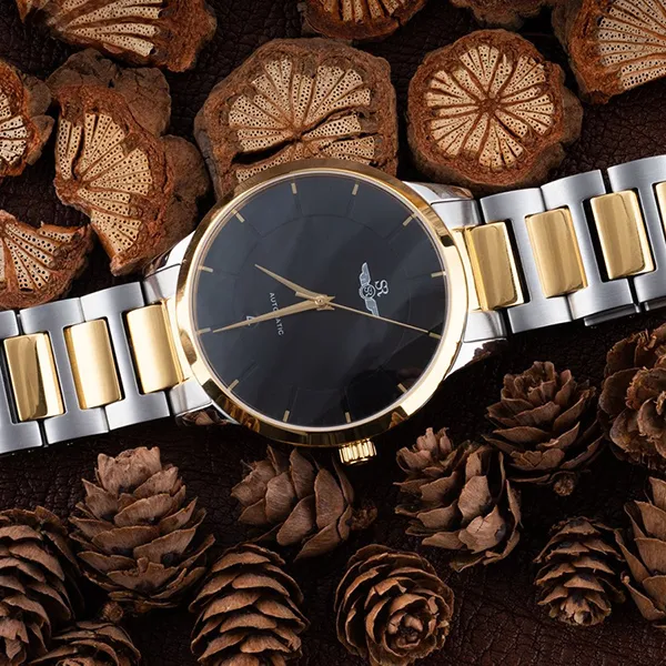 Đồng Hồ Nam SRWATCH Automatic AT SG8881.1201AT Màu Vàng - Bạc - Đồng hồ - Vua Hàng Hiệu