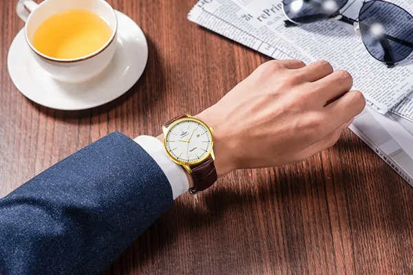 Đồng Hồ Nam SRWATCH Quartz Watch SG3008.4602CV Màu Nâu