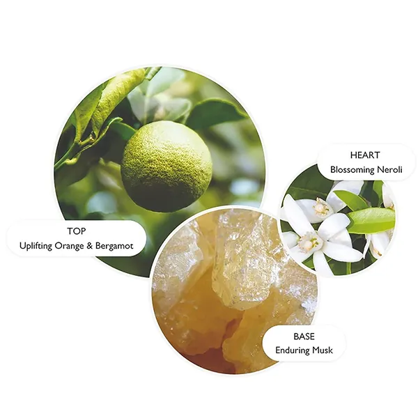 Kem Dưỡng Da Tay Molton Brown Orange & Bergamot Hand Lotion 300ml - Mỹ phẩm - Vua Hàng Hiệu