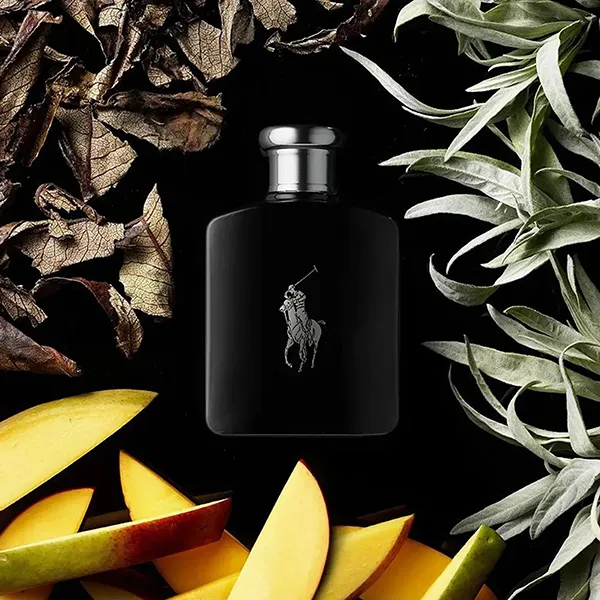 Set Nước Hoa Nam Ralph Lauren Polo Black EDT Gift 3 Món - Nước hoa - Vua Hàng Hiệu