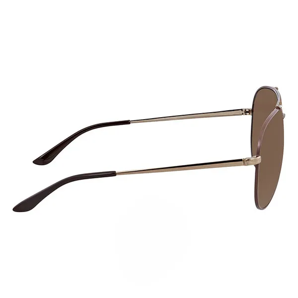Kính Mát Nữ Salvatore Ferragamo Fashion 60mm Shiny Brown Sunglasses SF131S 211 60 Màu Nâu - Kính mắt - Vua Hàng Hiệu