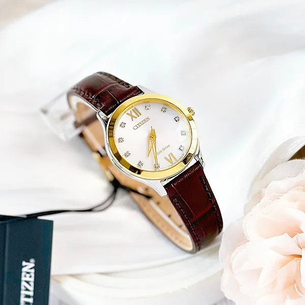 Đồng Hồ Nữ Citizen Eco-Drive EM1018-24A Màu Nâu Vàng - Đồng hồ - Vua Hàng Hiệu