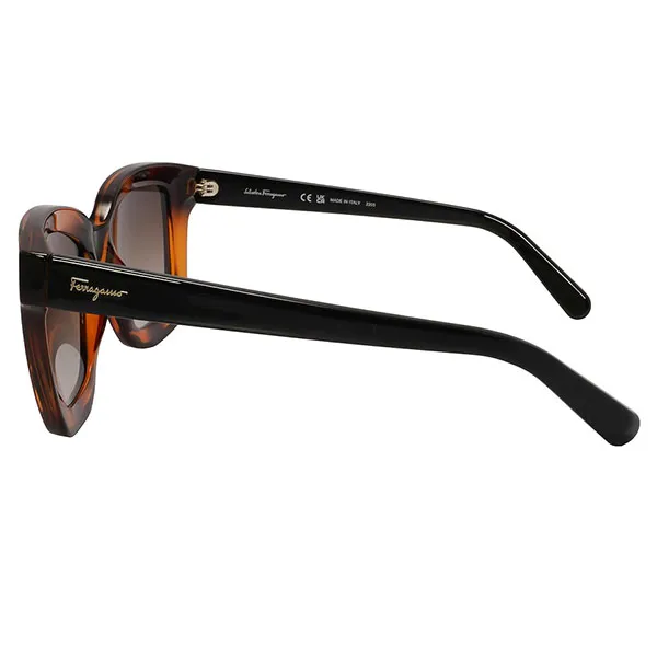 Kính Mát Nữ Salvatore Ferragamo Fashion 53 mm Brown Sunglasses SF955S 214 53 Màu Nâu Đen - Kính mắt - Vua Hàng Hiệu