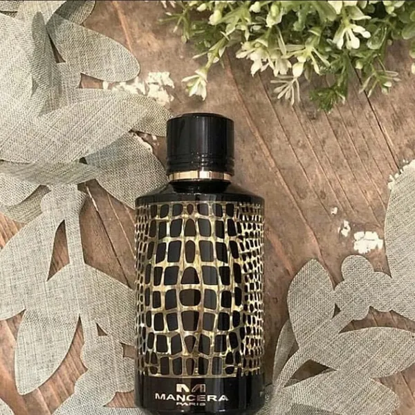 Nước Hoa Nữ Mancera Wild Python EDP 120ml - Nước hoa - Vua Hàng Hiệu