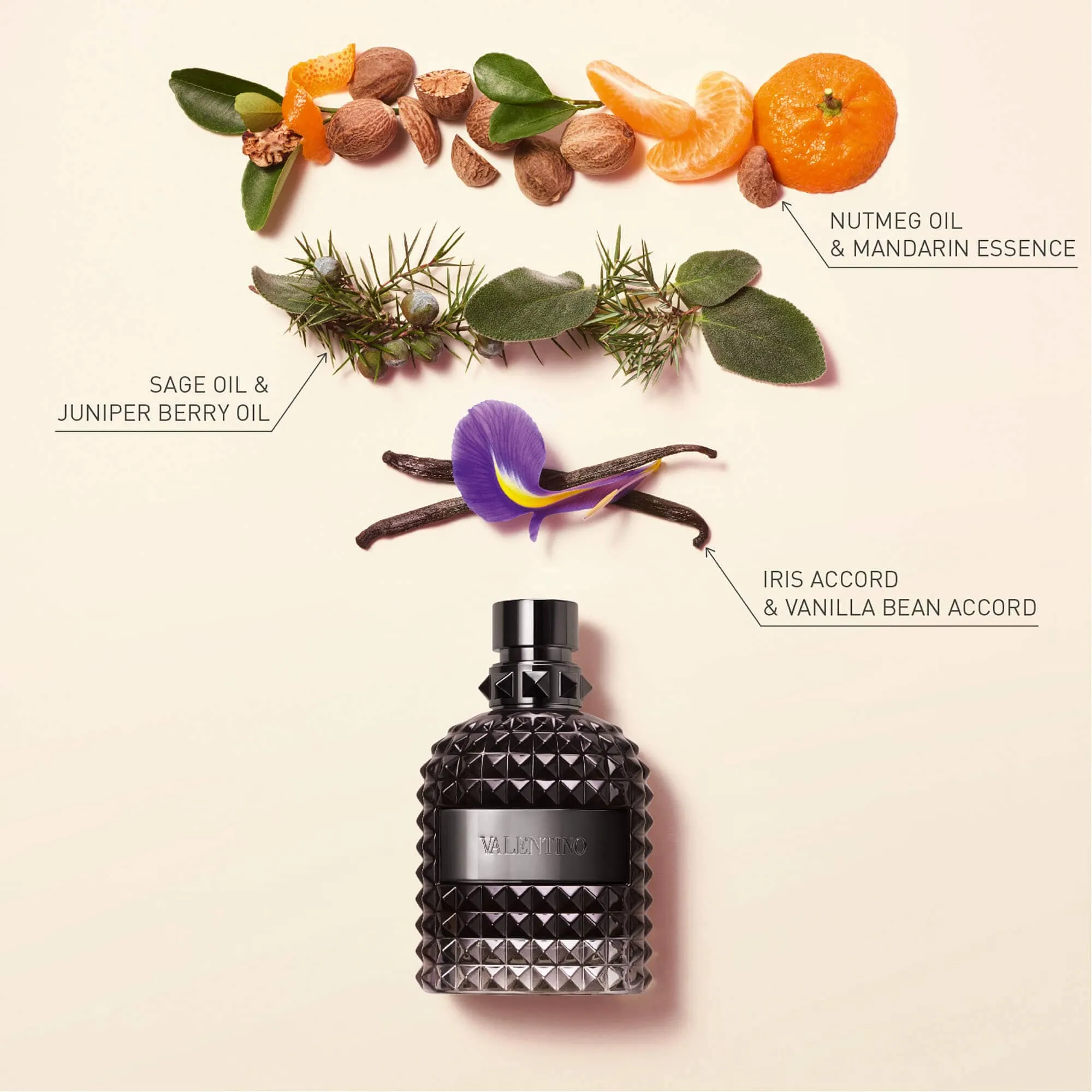 Nước Hoa Valentino Uomo Intense 100ml - Nước hoa - Vua Hàng Hiệu