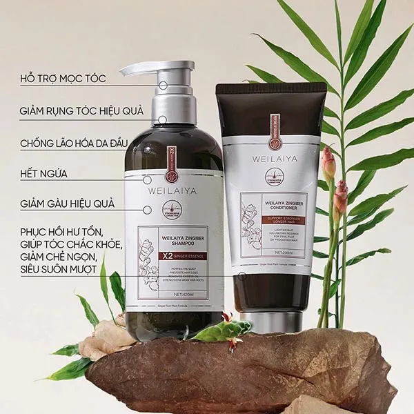 Set Dầu Gội + Dầu Xả Gừng Hỗ Trợ Mọc Tóc Weilaiya Luxury 2 Món (420ml x 200ml)