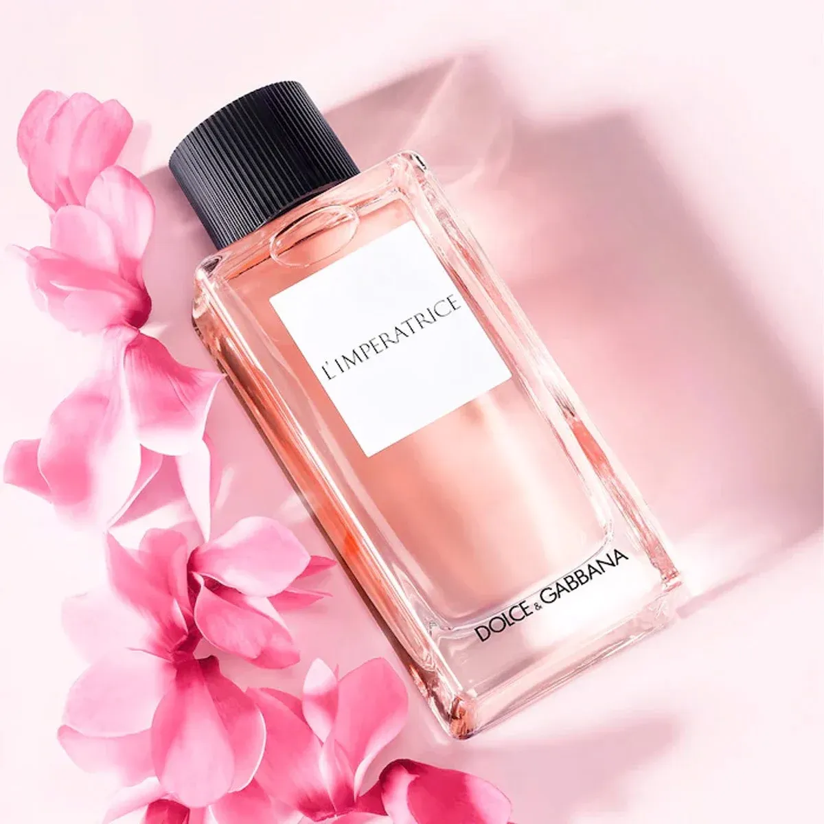 Nước hoa Dolce & Gabbana L'Imperatrice 3