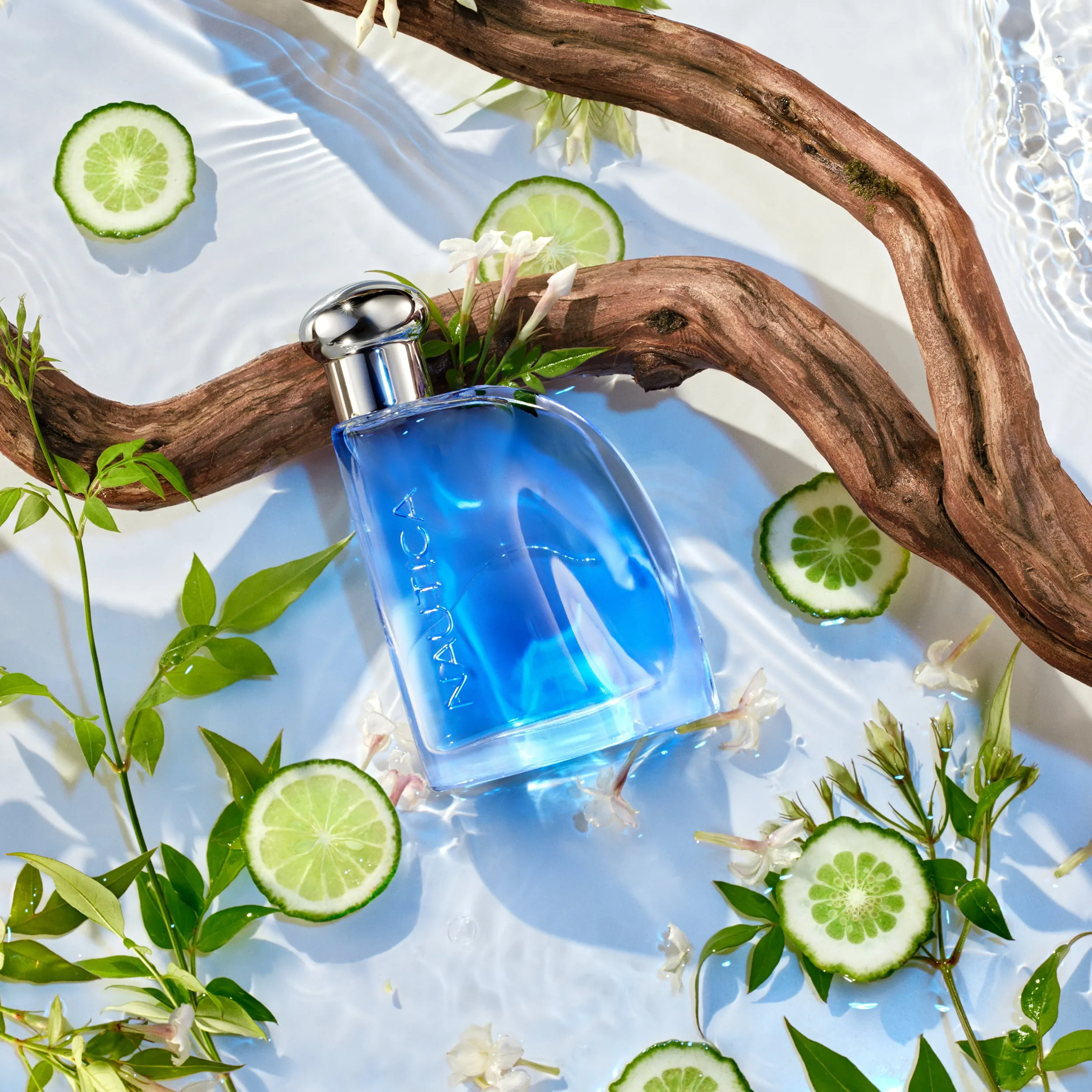 Hương Thơm Tươi Mát, Đầy Năng Lượng