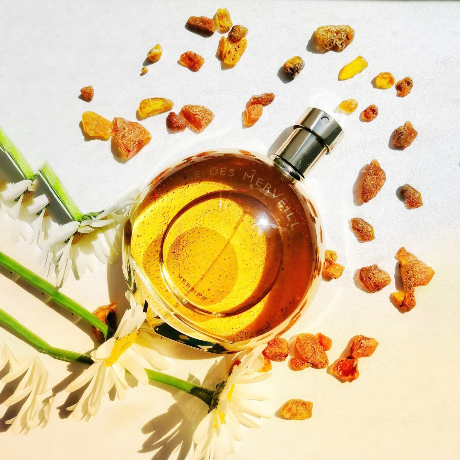 Nước hoa Hermès L'Ambre des Merveilles