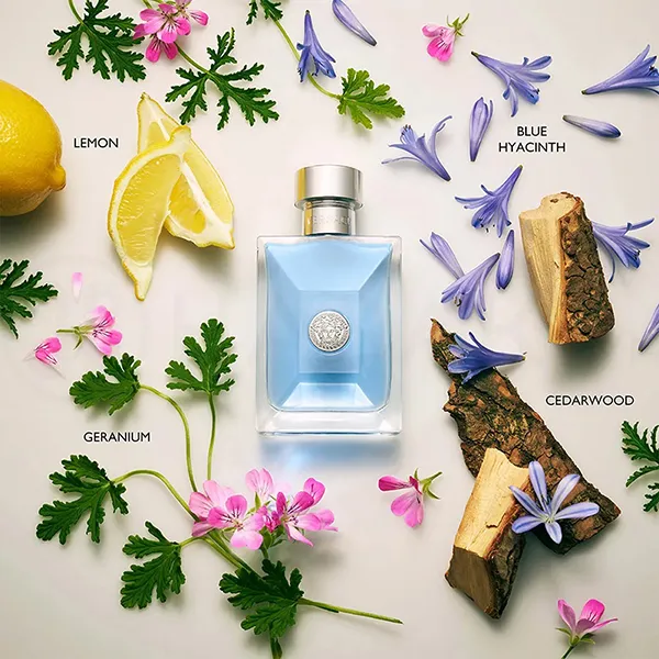 Nước Hoa Nam Versace Pour Homme Eau De Toilette (EDT) 100ml - Nước hoa - Vua Hàng Hiệu