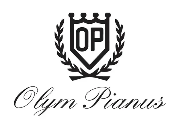 Đồng Hồ Nam Olym Pianus OP9908-881AGSK-T Màu Demi (Bạc - Vàng) - Đồng hồ - Vua Hàng Hiệu