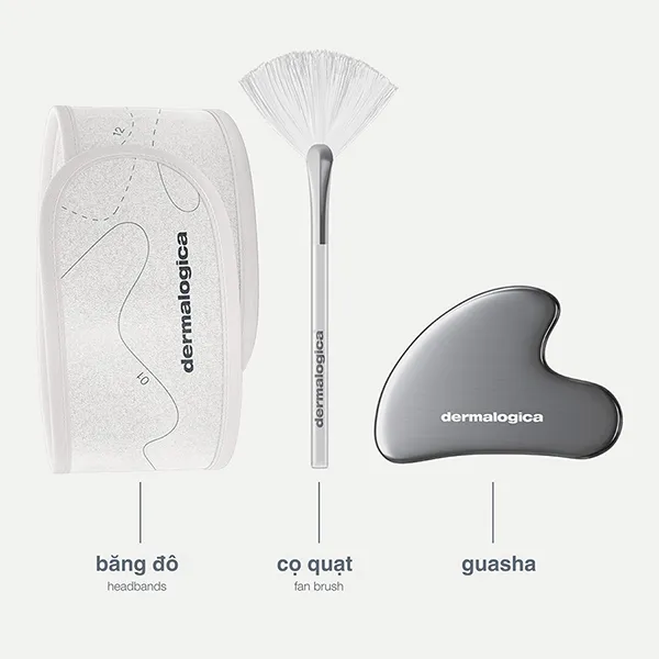 Set Dưỡng Da Hỗ Trợ Làm Sáng Và Làm Săn Chắc Da Dermalogica The Expertise Kit 9 Món