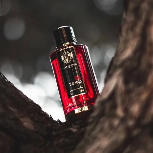 Nước Hoa Nam Mancera Red Tobacco Eau De Parfum (EDP) 120ml