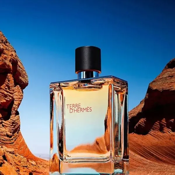 Nước Hoa Nam Hermès Terre D'Hermès Eau De Toilette 100ml - Nước hoa - Vua Hàng Hiệu