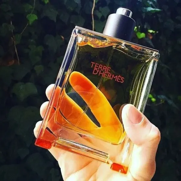 Nước Hoa Nam Hermès Terre D'Hermès Eau De Toilette 100ml - Nước hoa - Vua Hàng Hiệu