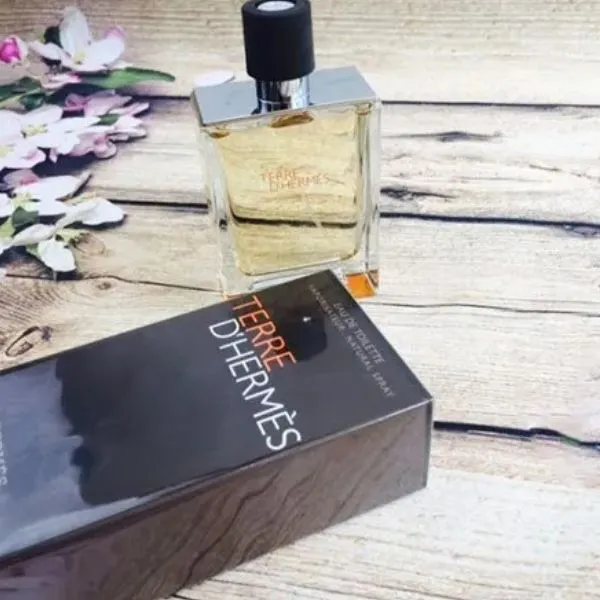 Nước Hoa Nam Hermès Terre D'Hermès Eau De Toilette 100ml - Nước hoa - Vua Hàng Hiệu