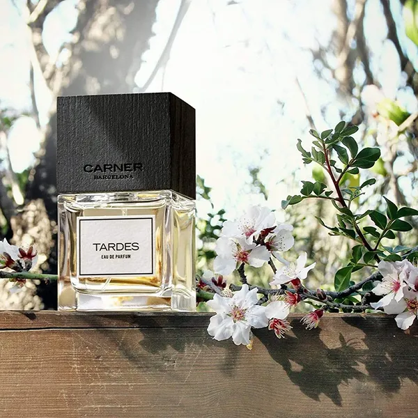 Nước Hoa Unisex Carner Barcelona Tardes EDP 100ml