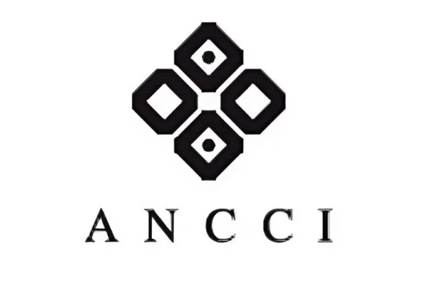 Kính Mát Unisex Ancci AT8777 C4 Màu Xám - Xanh - Kính mắt - Vua Hàng Hiệu
