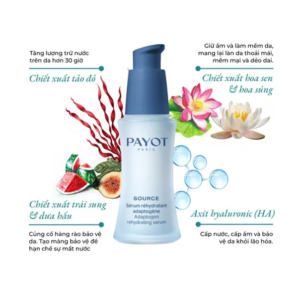 Tinh Chất Cấp Ẩm Da Payot Source Adaptogen Rehydrating Serum 30ml C_DTT - Mỹ phẩm - Vua Hàng Hiệu