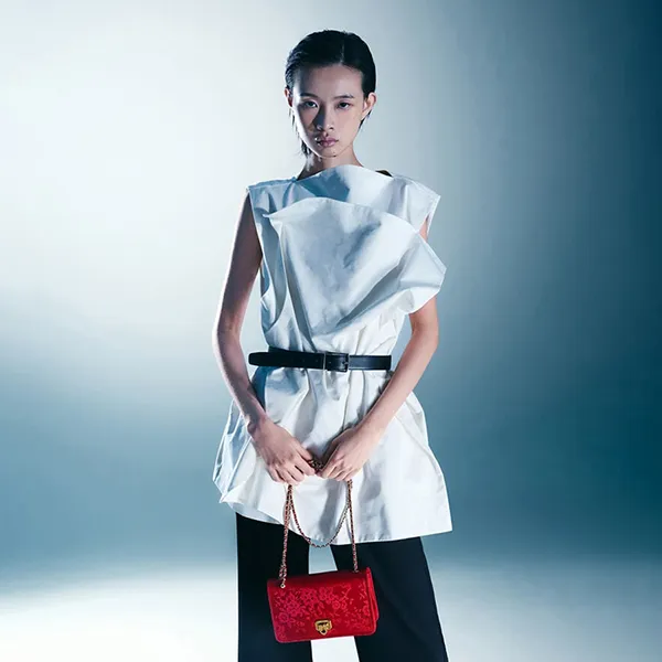 Túi Đeo Vai Nữ Charles & Keith CNK Jacquard Mini Shoulder Bag Crimson Red CK2-00681180 Màu Đỏ