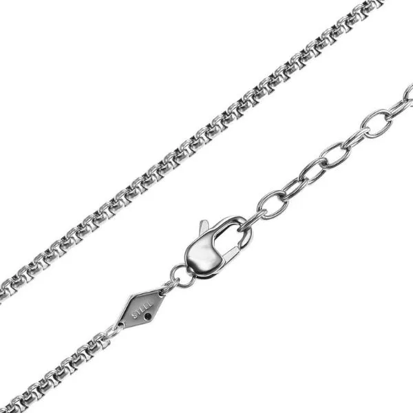 Dây chuyền Nam Fossil Necklace JF03996040 Màu Bạc