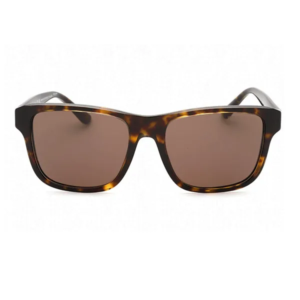 Kính Mát Nam Emporio Armani Sunglasses 0EA4208F 60527357 Màu Nâu